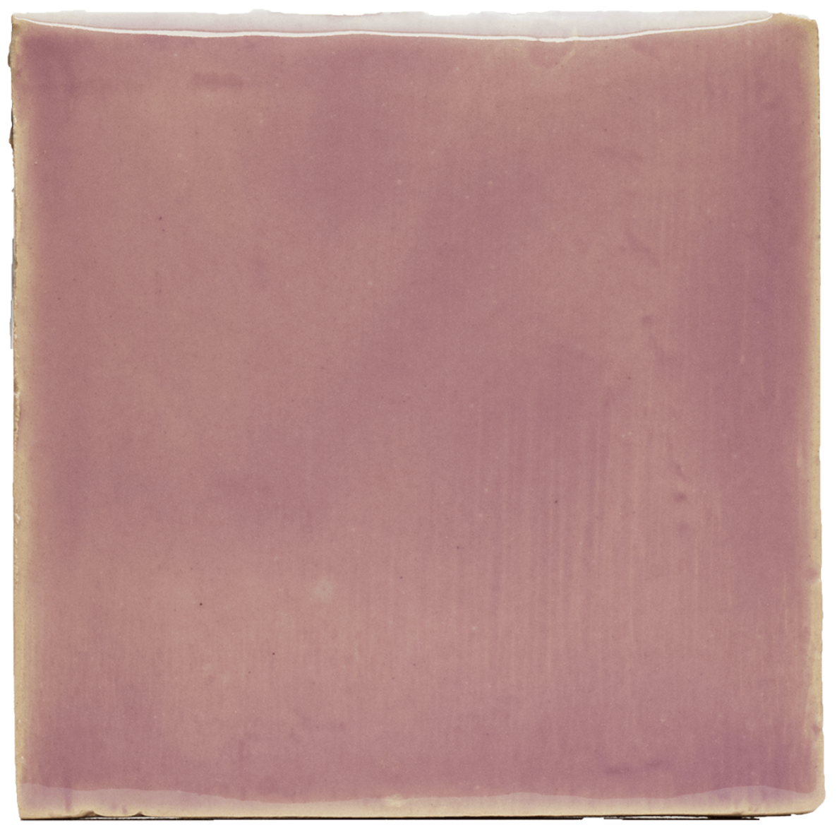 The Soft Lilac