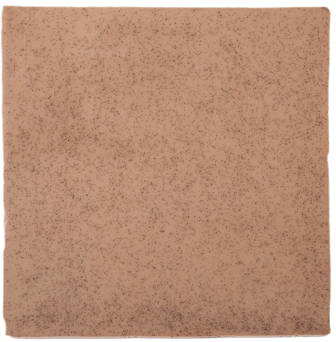 The Sand Bisque